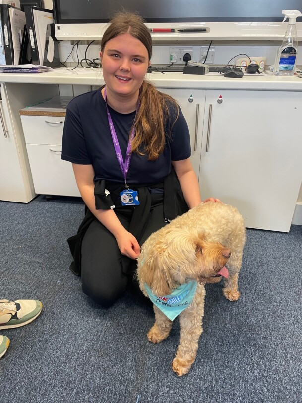 Ambitious College (@ambitiouscol) on Twitter photo This is Thomas, a therapy dog from Spread a Smile. Thomas came up to the base-room to visit all our supported interns after Sophie worked with him and his owner on the children's ward. He was a very popular visitor! <a href="/spreadasmileuk/">Spread a Smile</a> This is Thomas, a therapy dog from Spread a Smile. Thomas came up to the base-room to visit all our supported interns after Sophie worked with him and his owner on the children's ward. He was a very popular visitor! <a href="/spreadasmileuk/">Spread a Smile</a>