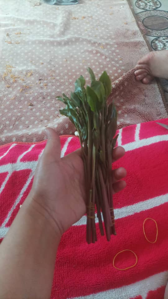 من جاد في صنعاء ونروح مسبح الترفيهي ونلتقي هانك الجلد خاص أنا علي من صنعاء ع ٢٨ وطولي ١٧٠ وزني ٧٠ الجاد خاص