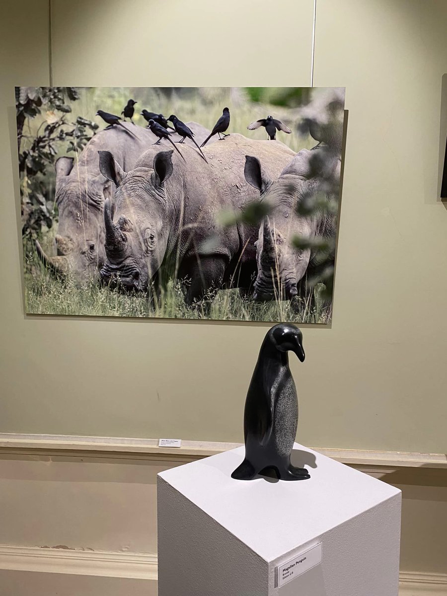 Immerse yourself in the smooth and lustrous surfaces of Anita Mandl's sculptures  and the staggering scenery and animals depicted in Steve Russell's  photographs. 

'Animalia' continues in our downstairs galleries until 2nd June. Not to be missed!

#natureinart #gloucester