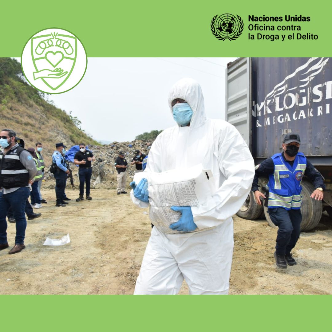 Promovemos soluciones sostenibles para la eliminación segura de sustancias químicas utilizadas en la fabricación ilícita de drogas, protegiendo así el medio ambiente y la salud pública. Conoce nuestra labor en #Honduras 🇭🇳: bit.ly/3yhdVM7 #stand @unodchn @ONUHonduras