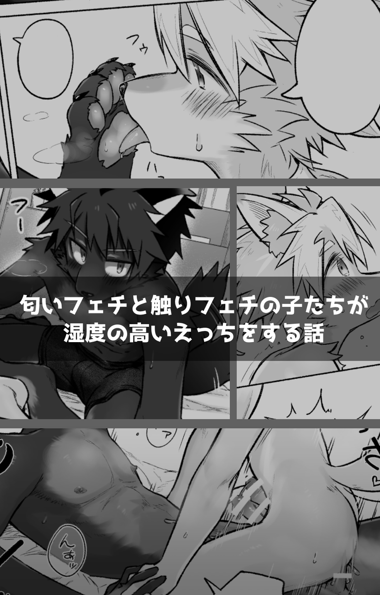 aphonyovo🔞 けもケI-24 tweet media