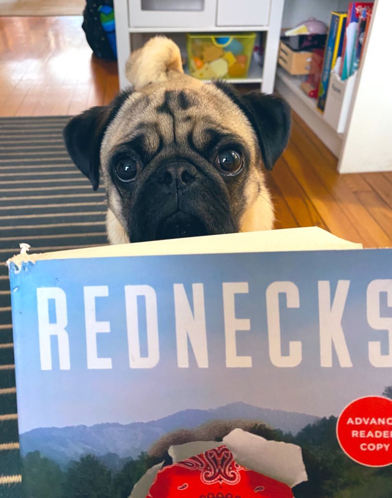 Happiest of pub days to my man @taybrown !!! REDNECKS, a story of working people fighting an unjust system, deserves to stand right up there with Grapes of Wrath and John Sayles’s Matewan. It’s a masterpiece, y’all ❤️ Also the pug enjoyed chewing it, so you know it’s tasty