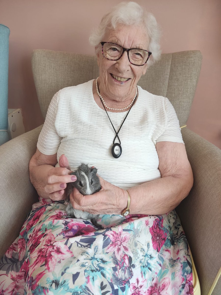 Townend Close Care Home tweet media