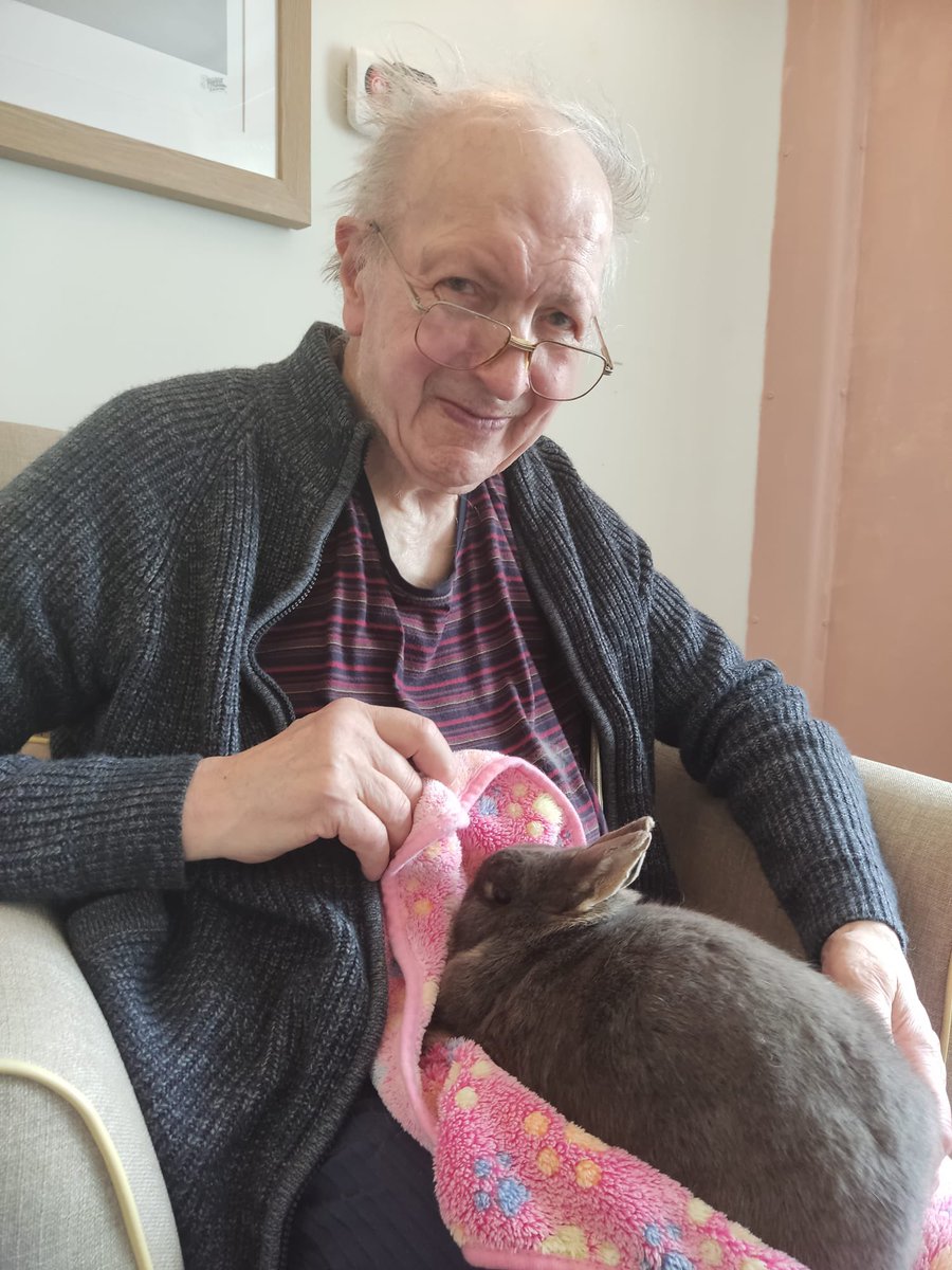 We had another visit yesterday from diggis den! Everybody loved cuddles with the guinea pigs and giant rabbits 🐰 💓 #giantrabbits #anchorlaterlife #carehomes #happiness #itsthelittlethings #anchorcare