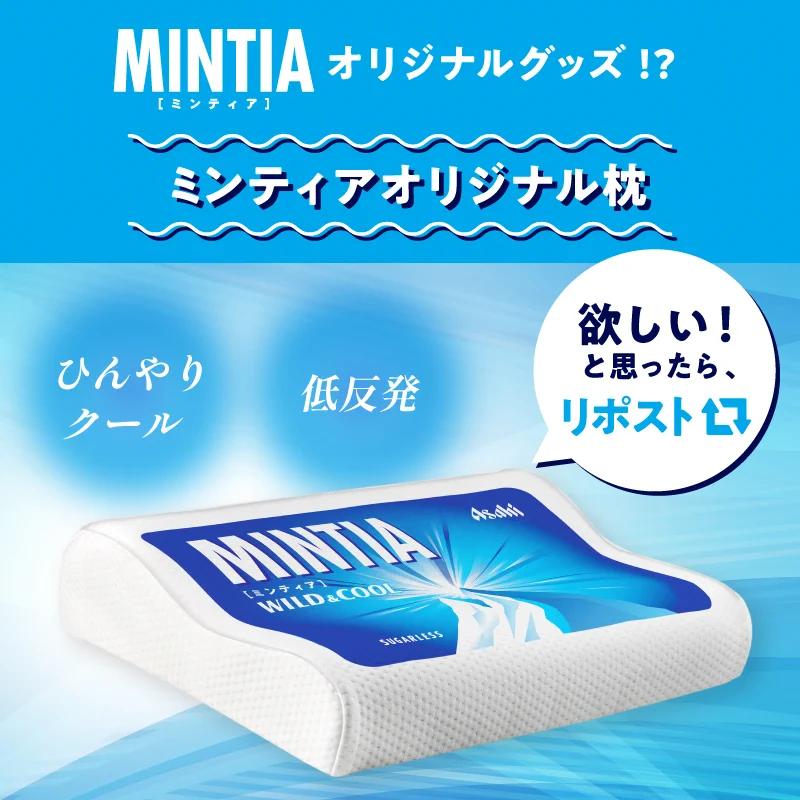 ミンティア　ひんやり枕 GNjDJY6a0AAEarb?format=webp&
