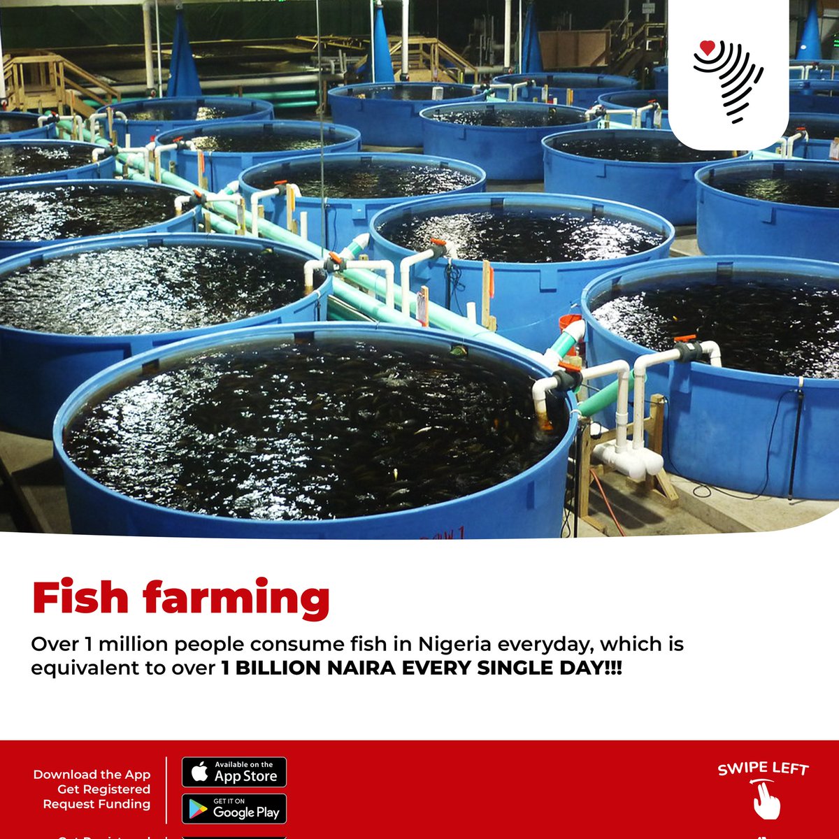 CrowdAfrik_NG's tweet image. Did you know that Nigerians consume over 1 million fish daily, resulting in a daily business turnover exceeding a billion naira? The Nigerian fish market presents an immense, yet largely untapped, industry.