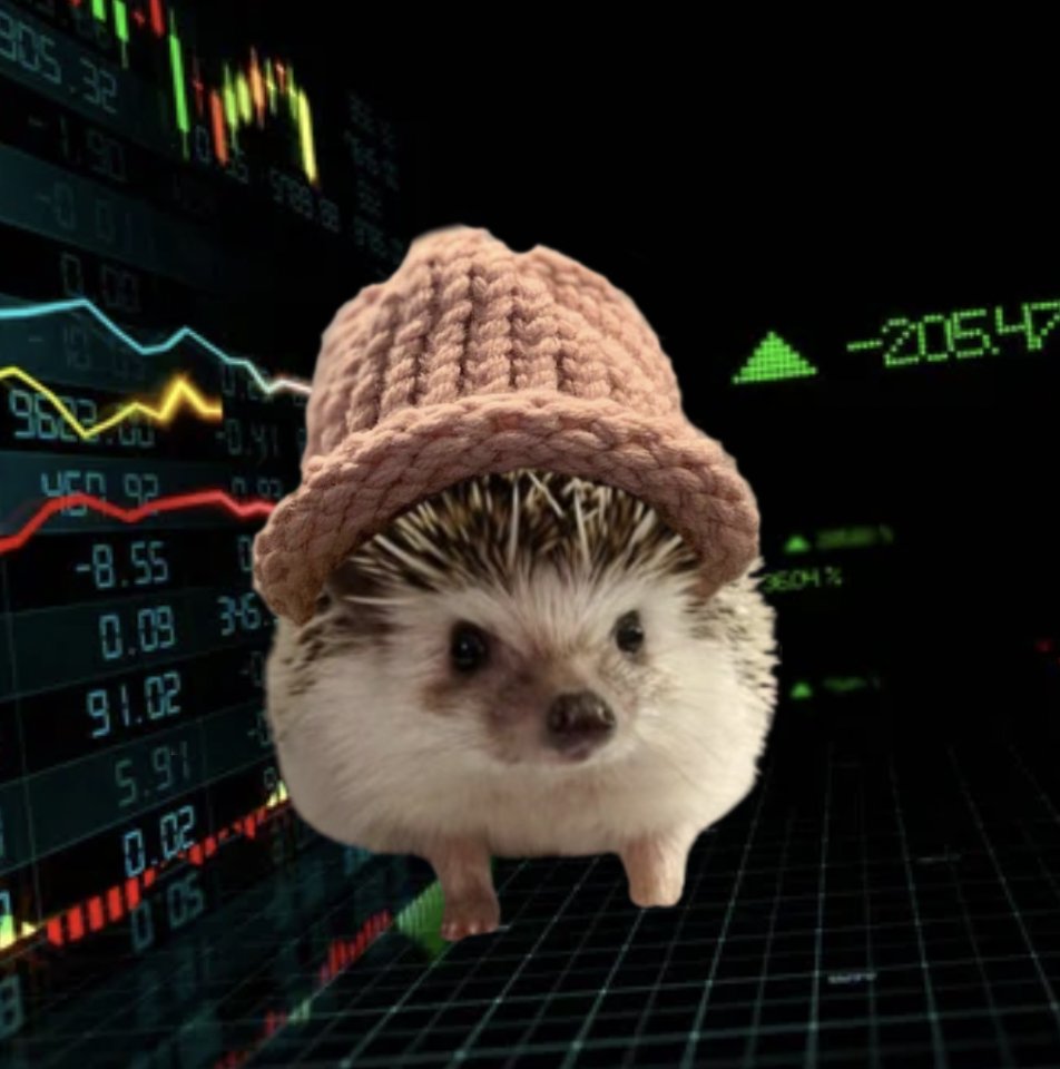 Hedgehog Quant (wif hat). 🦔🎩