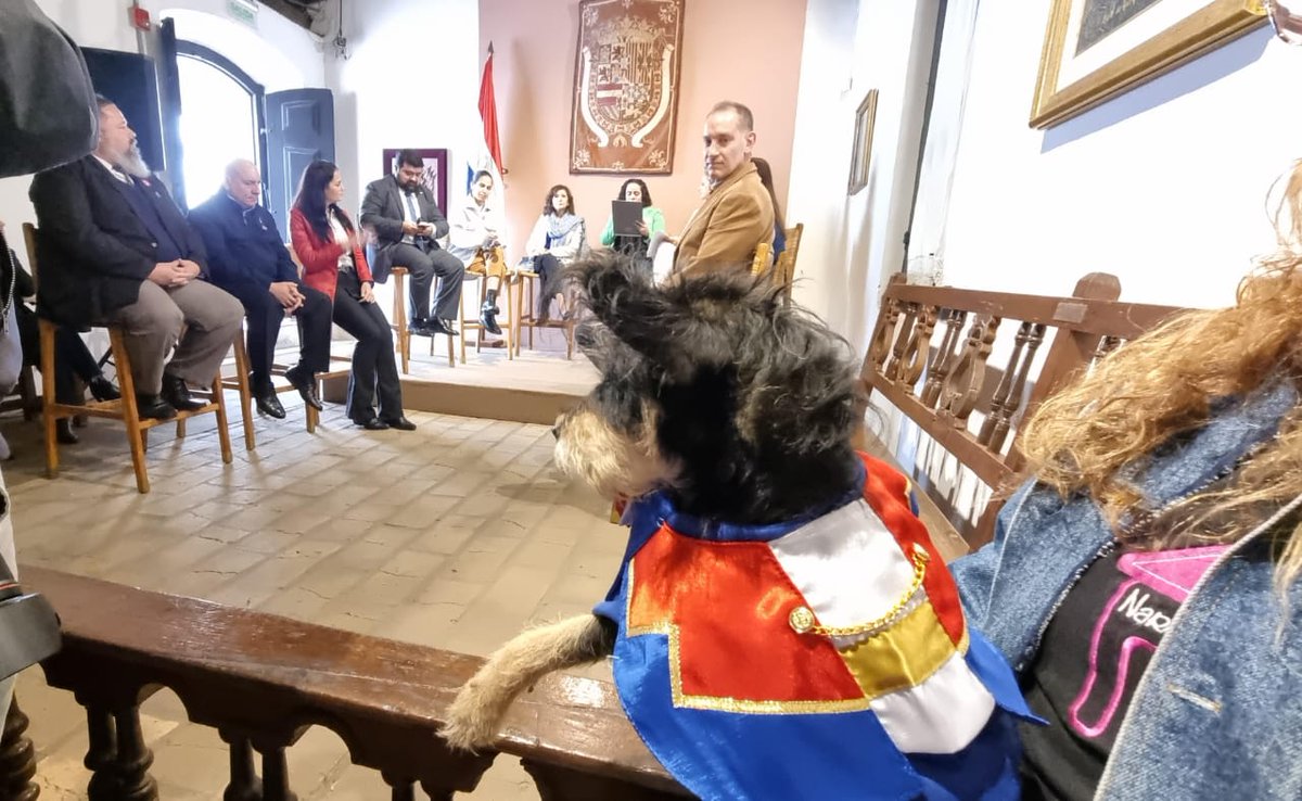 Paraguay TV tweet media