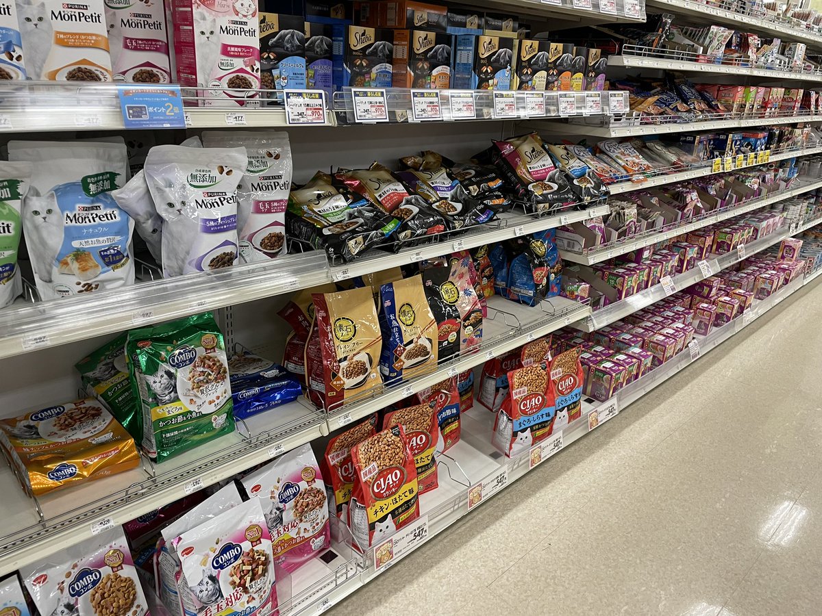 可愛い😍可愛い😍 にゃん太が亡くなりました。 精一杯生きて 精一杯私