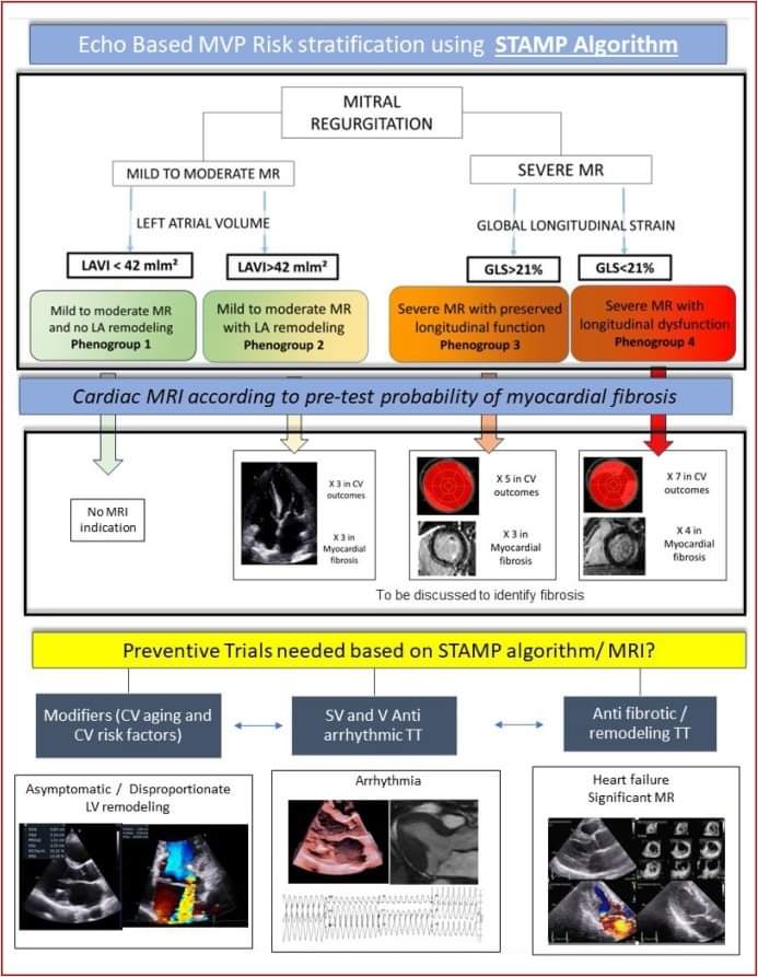 🔴 A new evidence-based echocardiographic approach to predict cardiovascular events and myocardial fibrosis in mitral valve prolapse: The STAMP algorithm☆sciencedirect.com/science/articl…