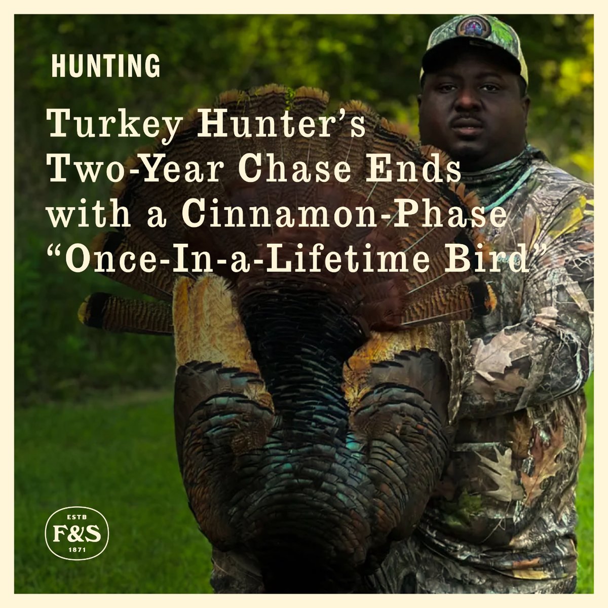 Georgia hunter Jamal Lane took this stunning cinnamon phase gobbler earlier this spring. It's just one of several unique colorations that occur naturally in wild turkeys.

Read the full story - fieldandstream.com/hunting/turkey… 🦃

#TheLegendLives #TurkeyHunting #TurkeySeason