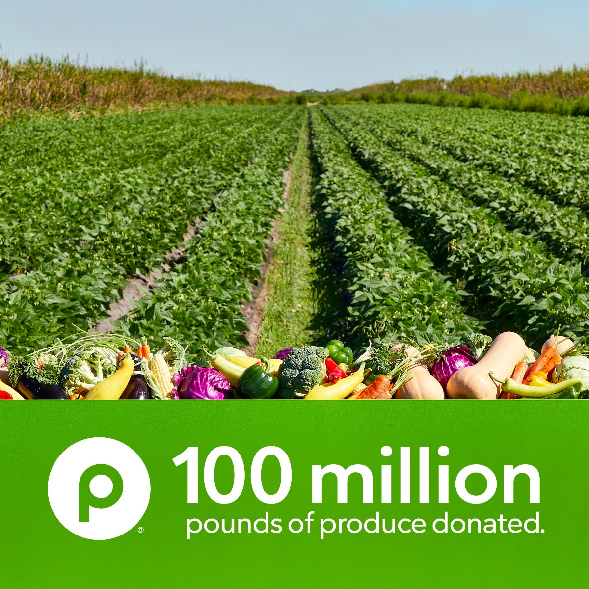In 2020, @Publix started a program to purchase fresh produce from struggling farmers & donate it to those facing hunger. Today, Publix has reached 100M pounds of produce donated to @FeedingAmerica food banks with 7.9M pounds going to FTB. Thank you for supporting our community!