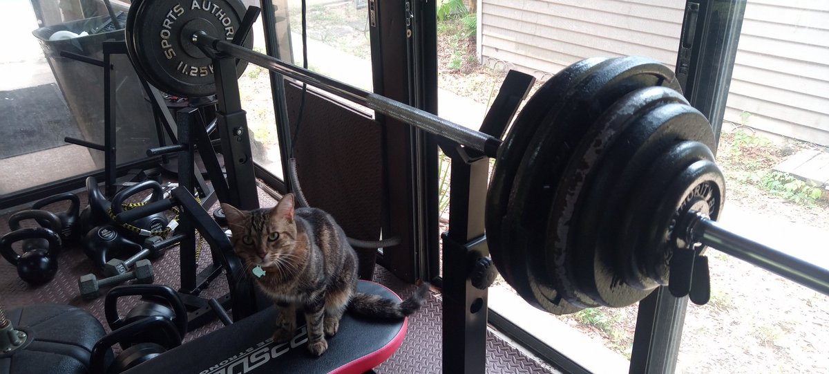 Zeus wants to exercise too.