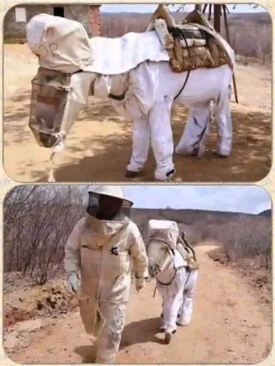 Bee Keeper and their donkey.