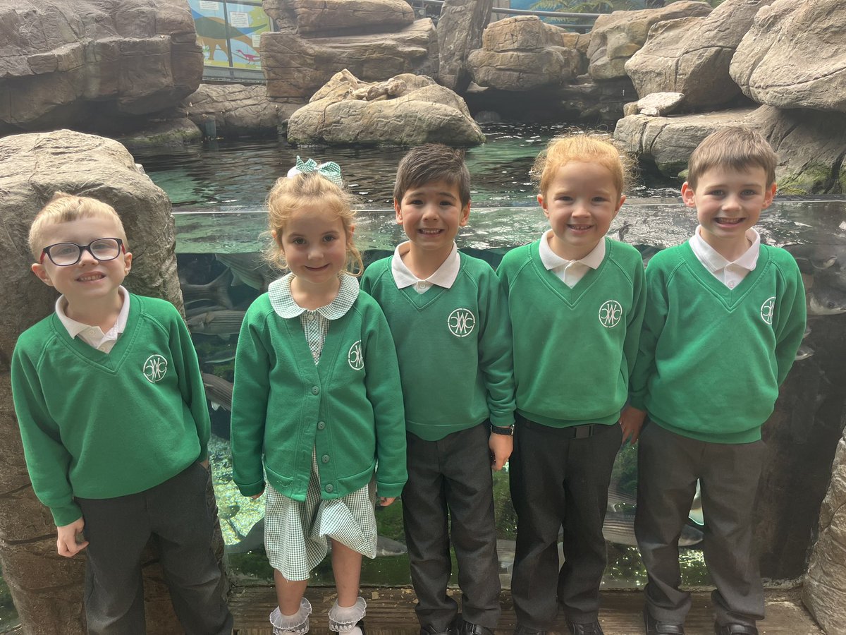 CW Primary School tweet media