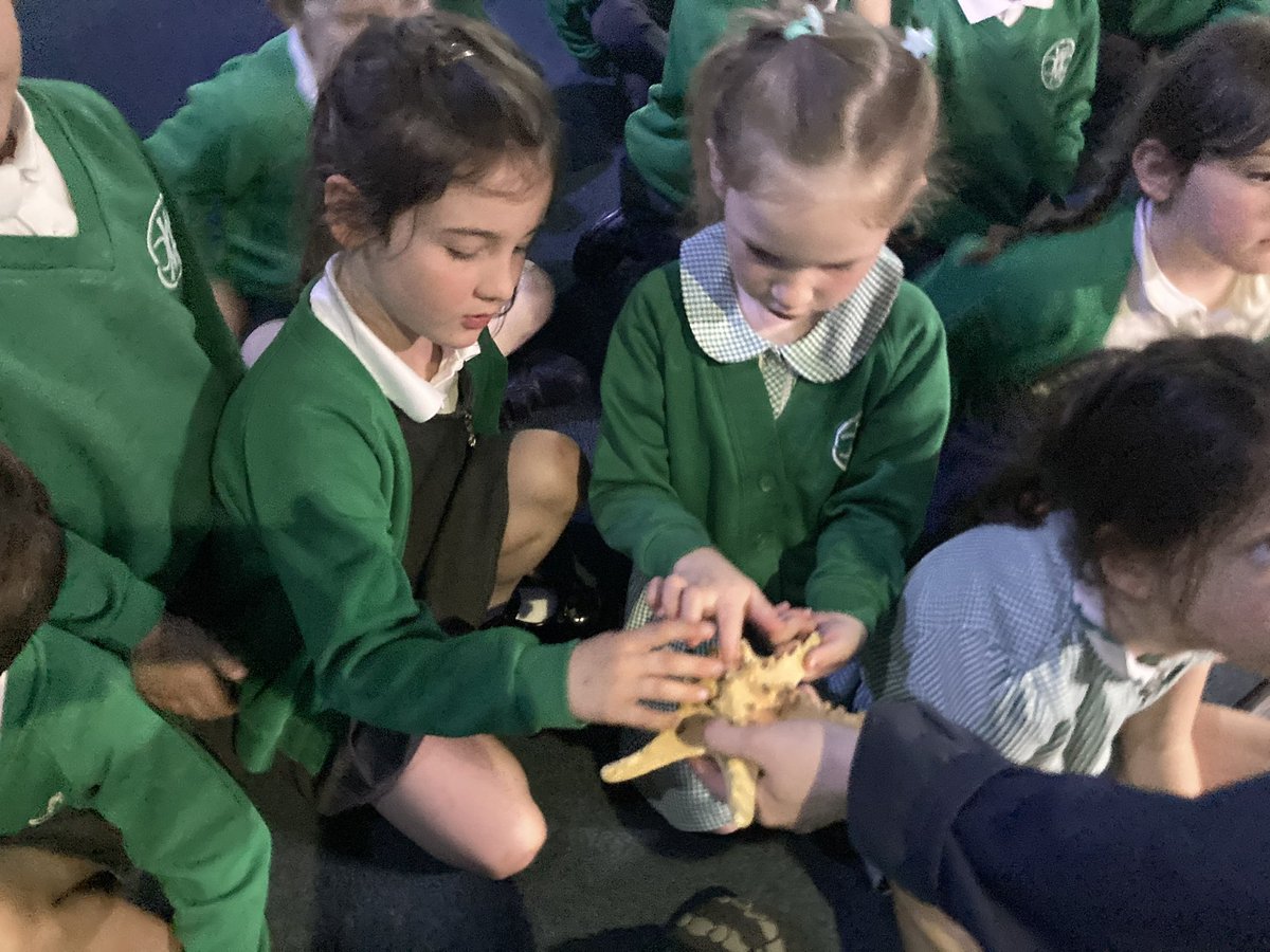 CW Primary School tweet media