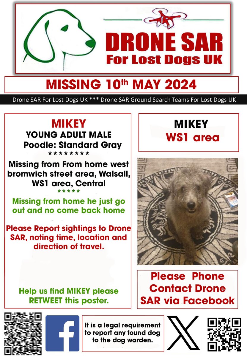 #LostDog #Alert MIKEY Male Poodle: Standard Gray (Age: Young Adult) Missing from From home west bromwich street area, Walsall, WS1 area, Central on Friday, 10th May 2024 #DroneSAR #MissingDog