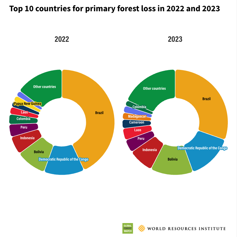 Brazil's share of total tropical primary forest loss dropped dramatically from 👉43% in 2022 to 30% in 2023.   Read @globalforests full analysis of 2023 #TreeCoverLoss data gfw.global/3T6guXO