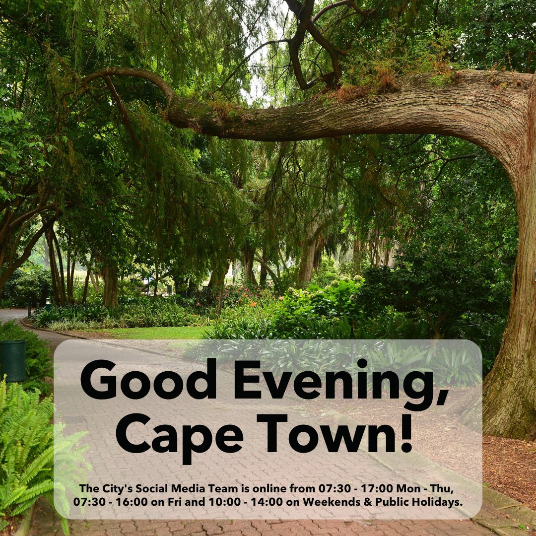 Good evening, Cape Town! Our team will return tomorrow. If you need anything, call us on 0860 103 089 or download the City's App: 🍎 apple.co/3pZAkth 🤖 bit.ly/3pMGltv For emergencies, call 021 480 7700 from a cellphone or 107 from a landline. #OneCityTogether