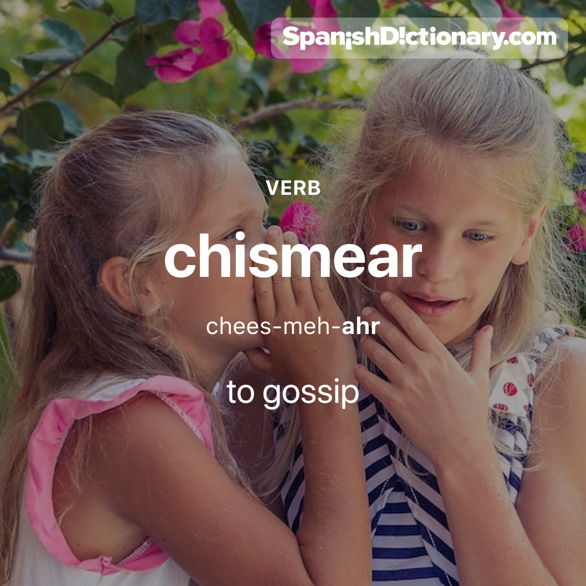 Today's #WordOfTheDay is 'chismear.' 🗣️🙊 For example: A Ana le encanta chismear sobre los demás.  - Ana loves to gossip about others.
.
.
.
#EstudiaEspañol #StudySpanish #AprendeEspañol #LearnSpanish #Español #Spanish #LearningSpanish #PalabraDelDia #chismear #gossip