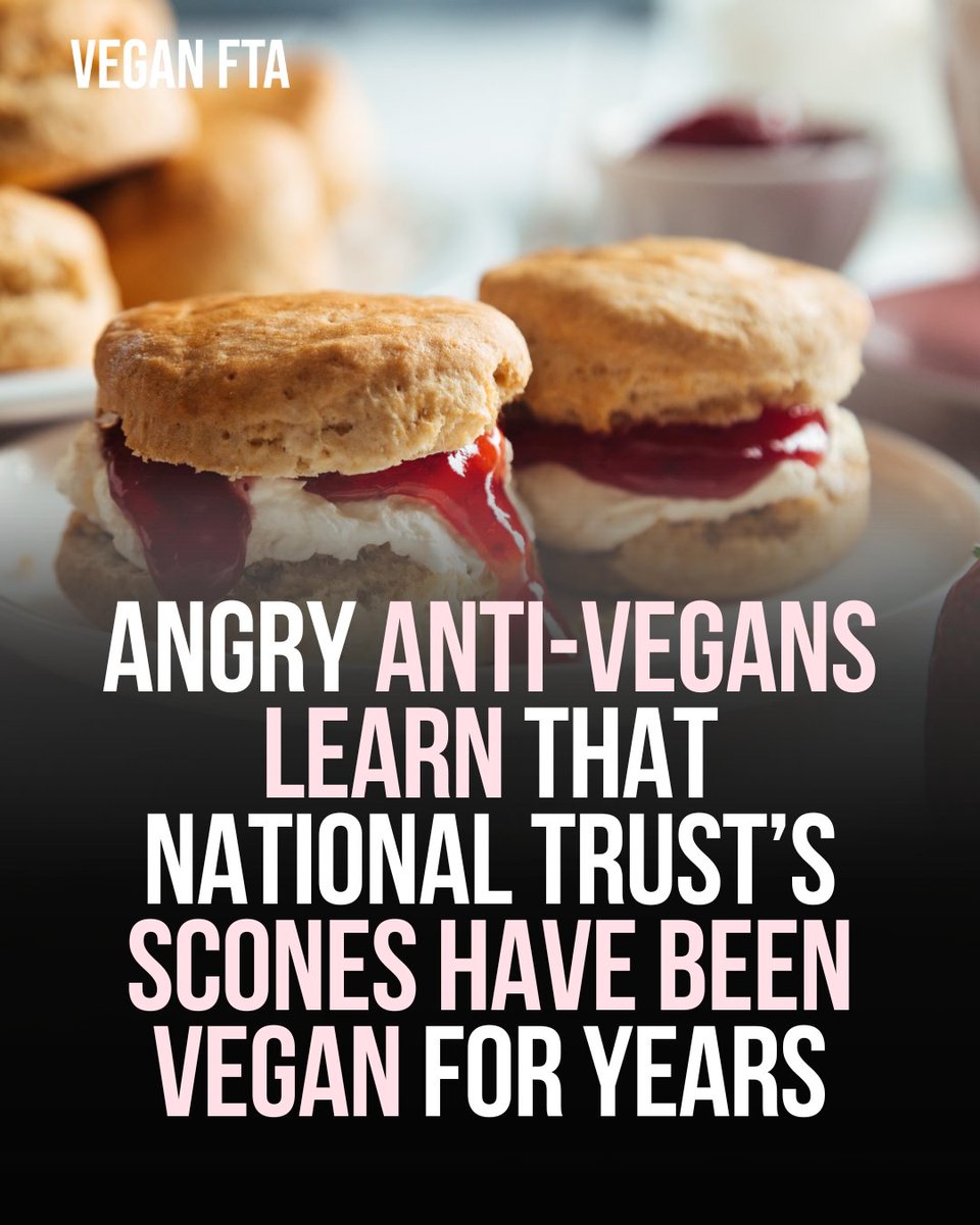 Complainants against vegan scones served at UK National Trust attractions learn they had already been vegan for years. 👀🌱

👉️ Read more: veganfta.com/2024/05/03/red…

#vegan #vegannews #nationaltrust #baking #veganfood