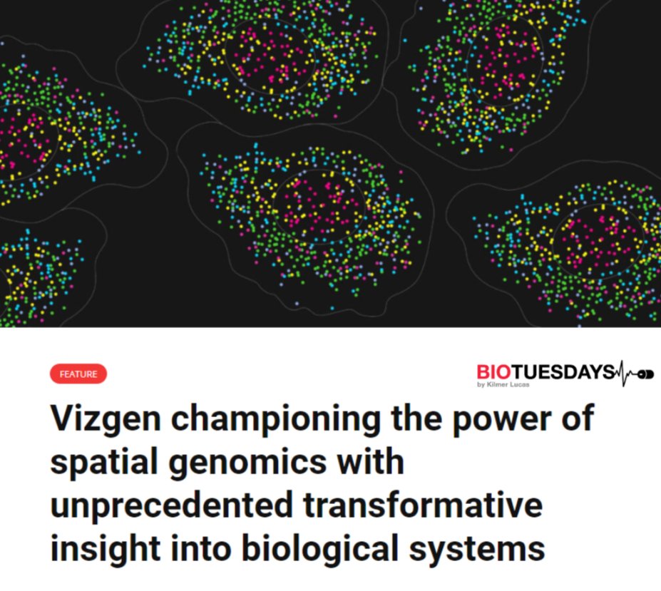 🌟 We are thrilled to share a feature article from @BioTuesdays, spotlighting @vizgen_inc's pioneering work in #SpatialGenomics.

📖 Read the full article for insights from our CEO, Terry Lo.

🔗hubs.ly/Q02wXjBc0

#Vizgen #SpatialGenomics #MERSCOPE #MERFISH