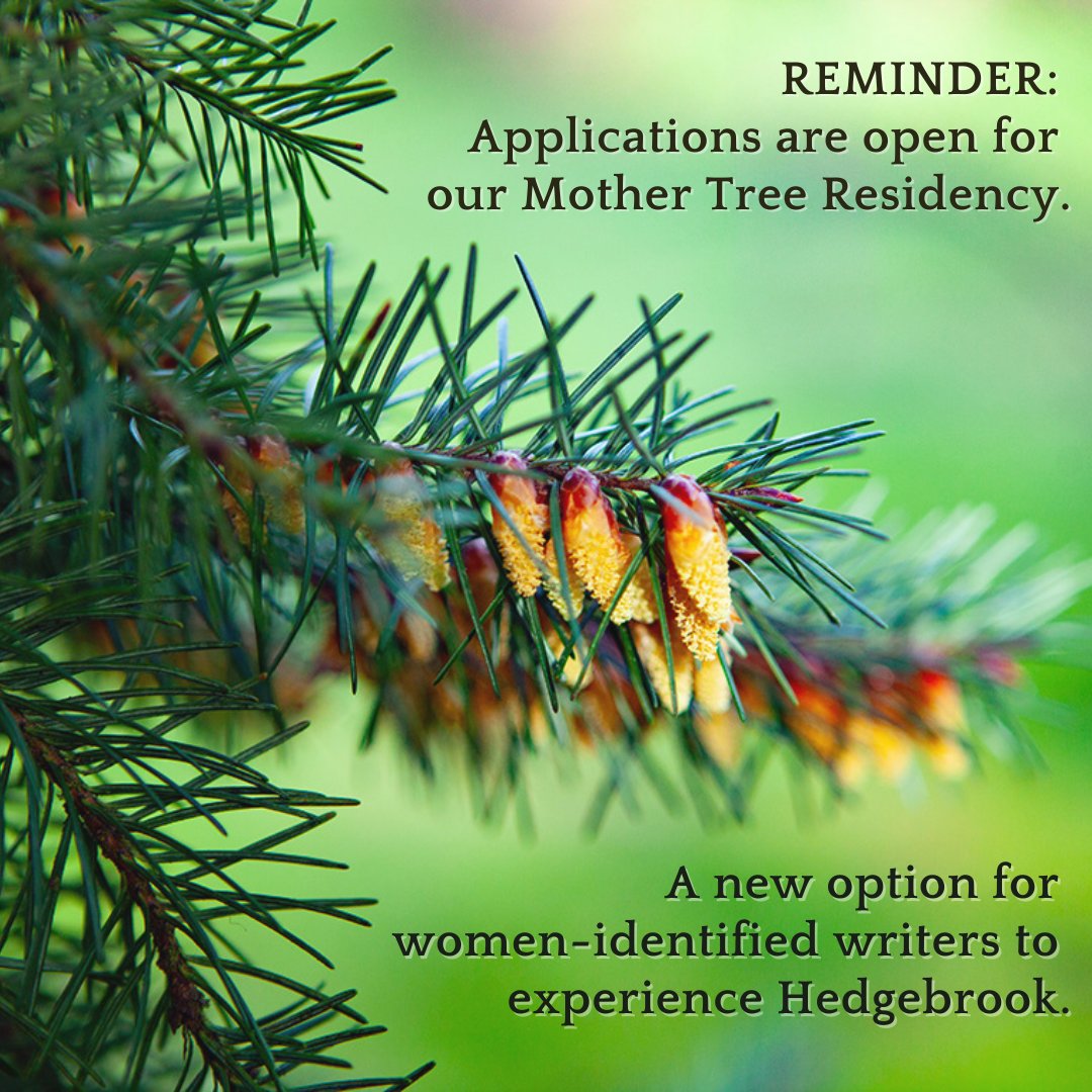 REMINDER: we are accepting applications for our new 2025 Mother Tree Residency. These partially subsidized residencies are an opportunity for new residents and returning alumnae to plan a residency that fits their schedule. Application: hedgebrook.slideroom.com/#/login/progra… #Hedgebrook