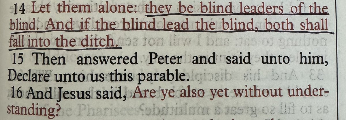 Jesus: “They’re blind to the truth and will lead others astray.” Peter: “Tell me what that means.” Jesus: “Are you dumb?”