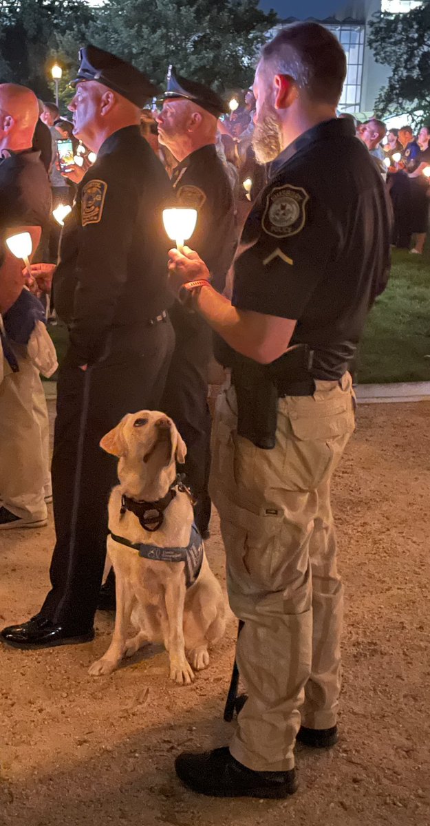 One of my favorites I took last night. #protectingtheblue #PoliceWeek #policeweek2024 #k9