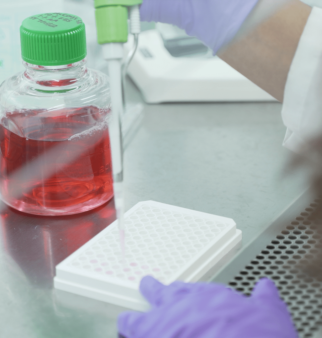 Visikol's tweet image. In this blog post, we will discuss how to optimize the use of HUREL Micro Livers for drug development, provide tips for using the liver models effectively, and more. Read more here --&amp;gt; hubs.ly/Q02x4WT10

#HUREL #DrugDevelopment #LiverModels