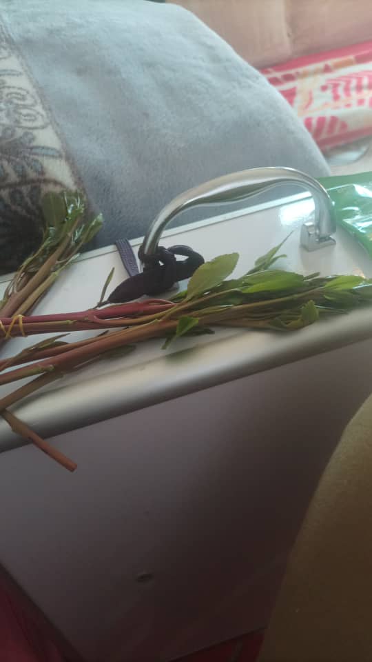 من سالب جاد نروح المسبح ع حسابي بسررعه ألجأد يجي