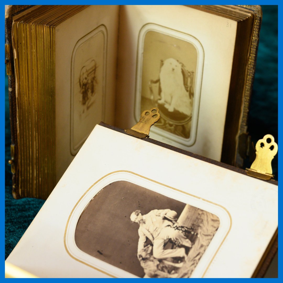 DickensMuseum's tweet photo. Our exhibition, 'Faithful Companions' opens tomorrow!

Exploring the animals in Dickens's life and literature, this wonderful special display includes family photos, animal illustrations, private letters and more.

We even have some readings by some very special guests.... 🤫 https://t.co/4fLpw3HKBT