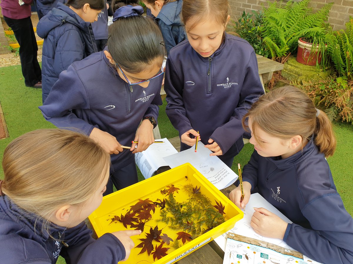 This term, our Year 6 science lessons focus on exploring the plants and animals around our school. Students have been enthusiastic about hands-on activities like the pond dipping lesson. They’ve had a fantastic time learning outdoors and discovering the wildlife on our grounds.