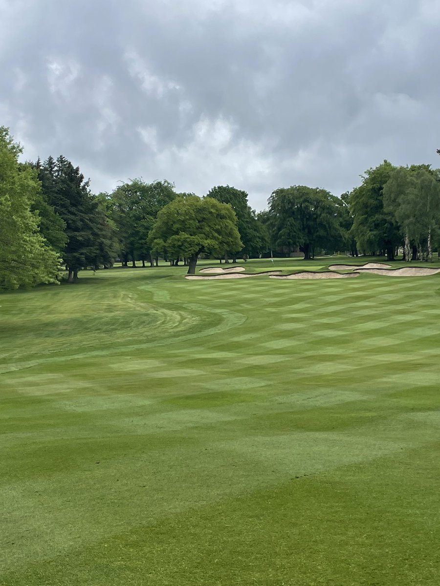 Andrew Murray tweet media