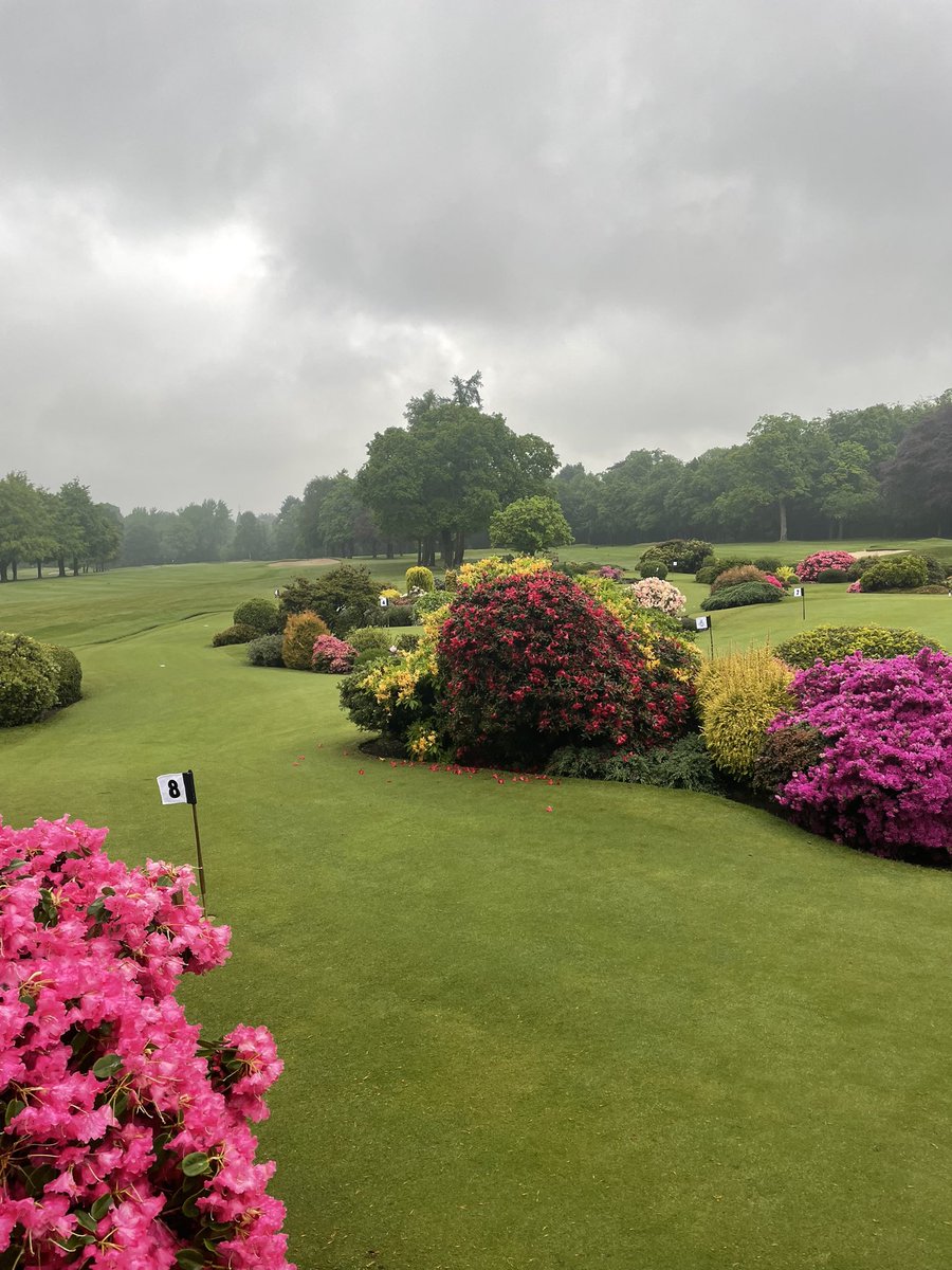 Andrew Murray tweet media