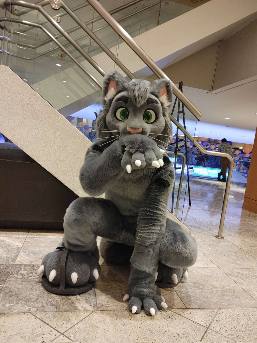 Thank you to everyone who interacted with me at FWA this past weekend! Everyone was really kind and I had a great time! Now have a cat :3c

🪡: @WildDogWorks