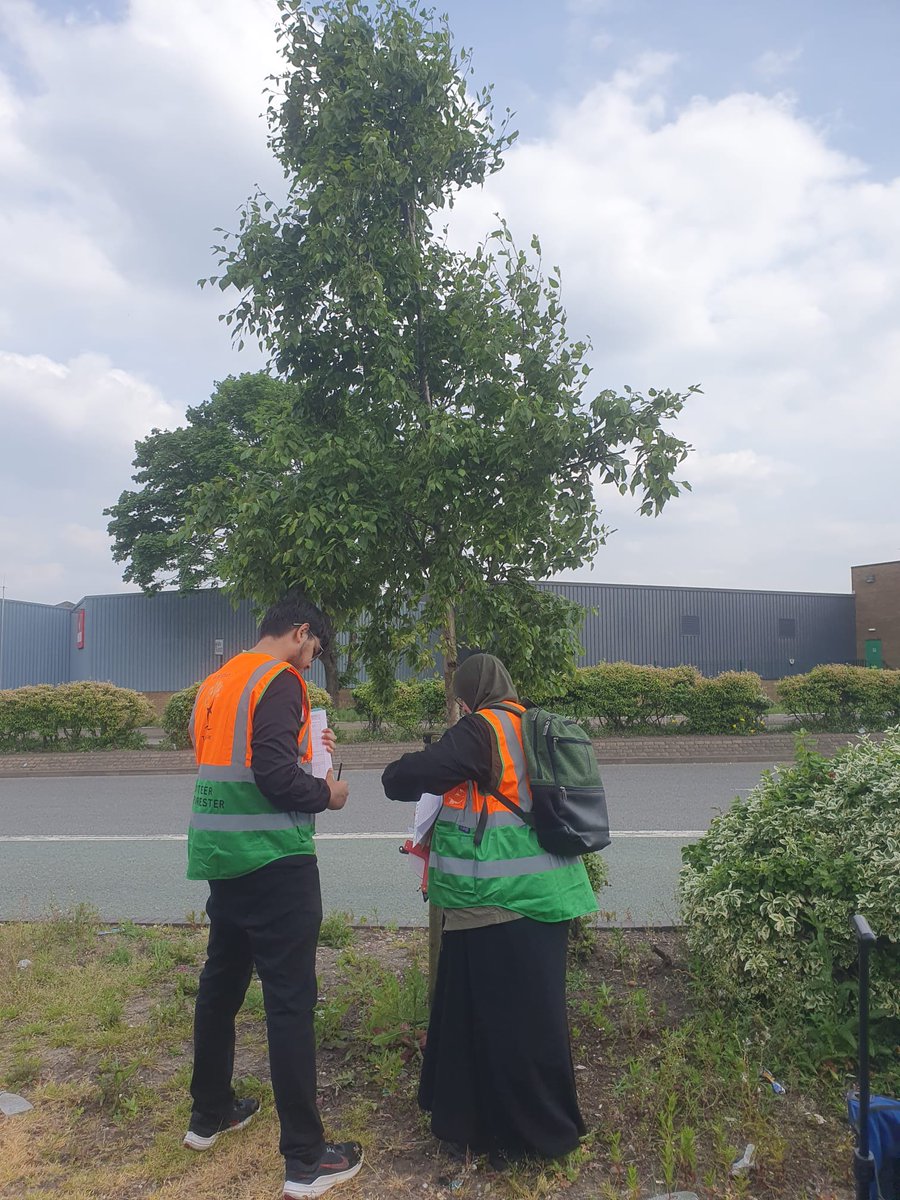 The #StreetTreeSurvey continues, as the #surveyors tackled 20 #trees in #Nechells last Saturday 11th May with Nina. Sarah, Tanim, & Sonja are new #traineesurveyors, & returning surveyors Ruth, Alex, & Charley. Next: 25/05/24 Perry Barr 10-12, 1-3. #urbanforest #streettrees