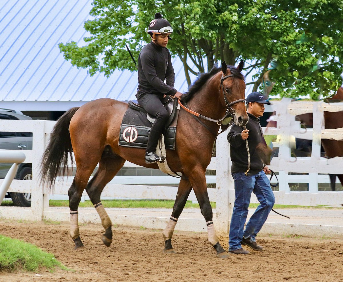 Great to see some of our 2yos at Keeneland this past weekend - including this beauty 🥰 colt by WITHOUT PAROLE x Mama Tembu. Can’t believe how much he has grown and filled out since I saw him last! Now in training with @reredevaux #WithoutParole #glennwood @johndgunther