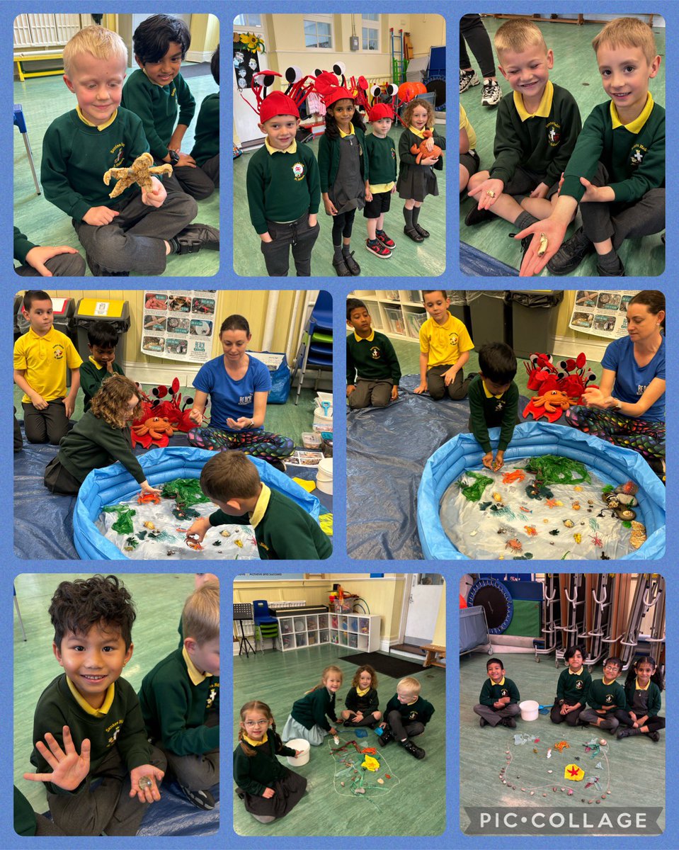#Rockpoolguardians at @sthelensp A great day spent with year 1 learning how to Rockpool so that we look after this habitat and all the animals that live there. @WelshGovernent @HeritageFundCym #NatureNetworks @EcoSchoolsWales @_OLW_