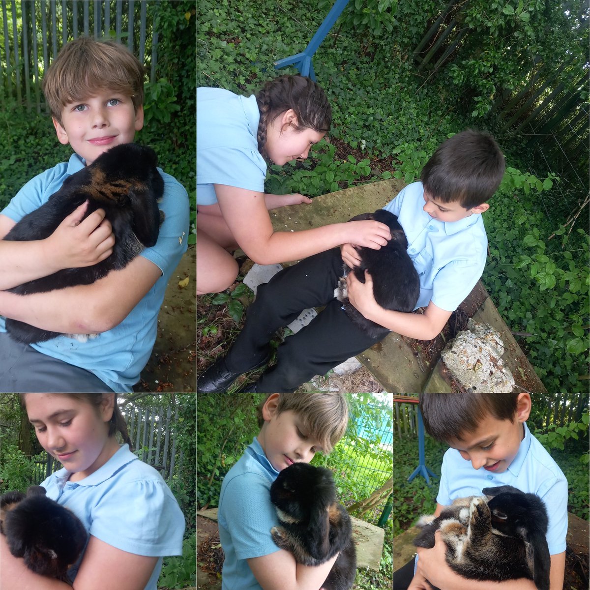 It's been a while since we visited Kylo the rabbit. Today, we spent some time taking turns to give Kylo lots of cuddles and show how kind we can be when taking turns! #ThisisAP #Interventions
