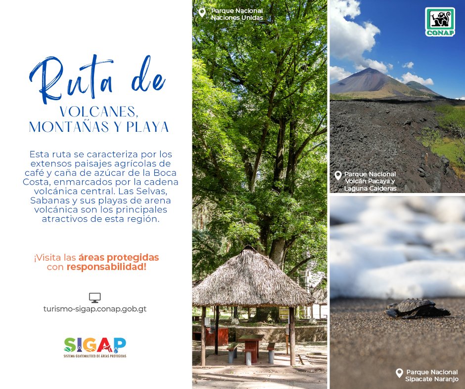 😍#TurismoResponsable | #ÁreasProtegidasGT 🇬🇹 El #CONAP te invita a conocer nuestra #GuatemalaMegadiversa, organiza tu ruta 𝗗𝗲𝘀𝘁𝗶𝗻𝗼 𝗱𝗲 #ÁreasProtegidasGT #𝗩𝗼𝗹𝗰𝗮𝗻𝗲𝘀, #𝗠𝗼𝗻𝘁𝗮ñ𝗮𝘀 𝘆 #𝗣𝗹𝗮𝘆𝗮 👇 💻📱turismo-sigap.conap.gob.gt/.../ruta-de-vo… #CONAP #Turismo