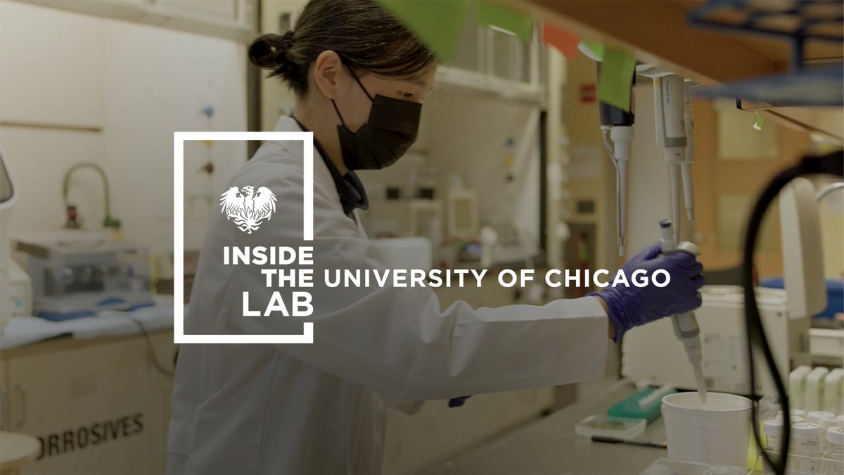 ‘Inside the Lab’ series provides a unique look at UChicago research dlvr.it/T6smXB