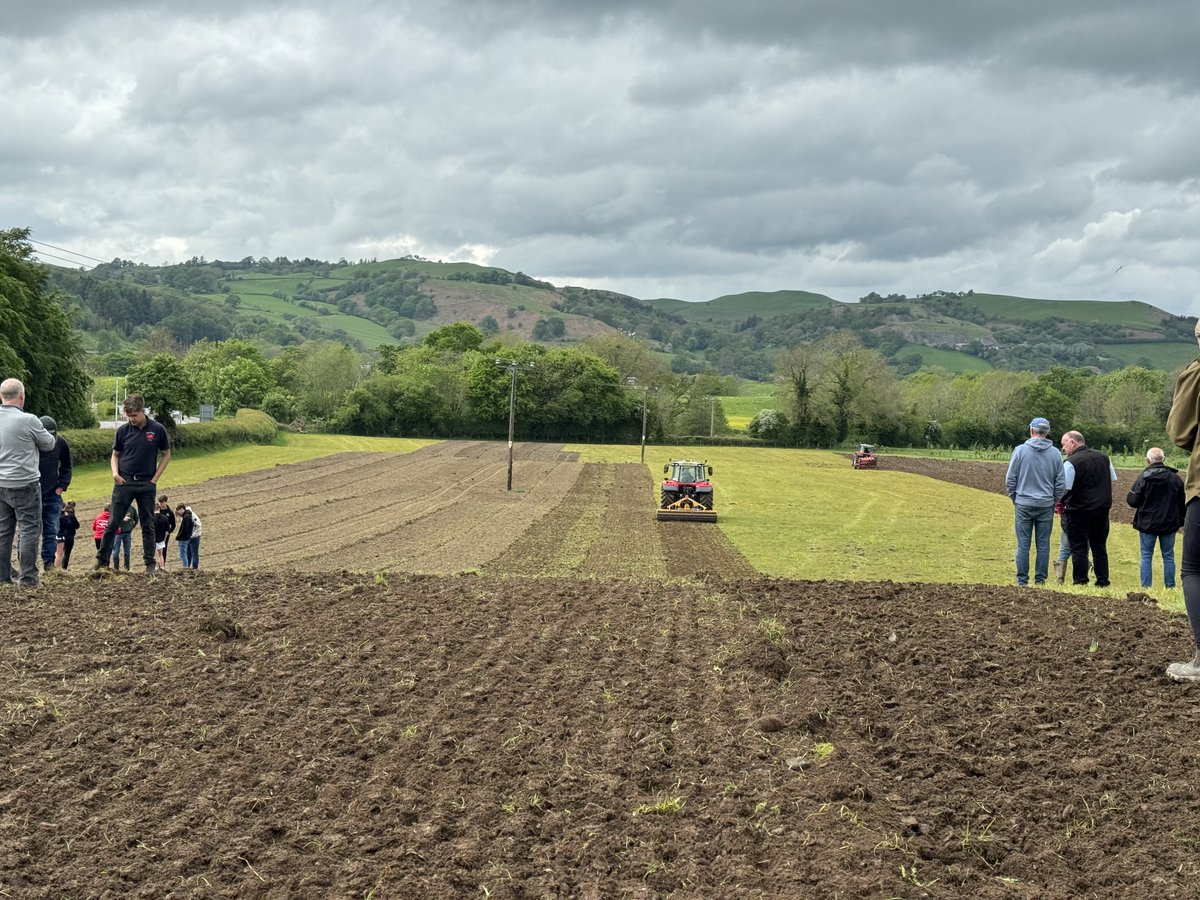 Fferm Fronlas Farm tweet media