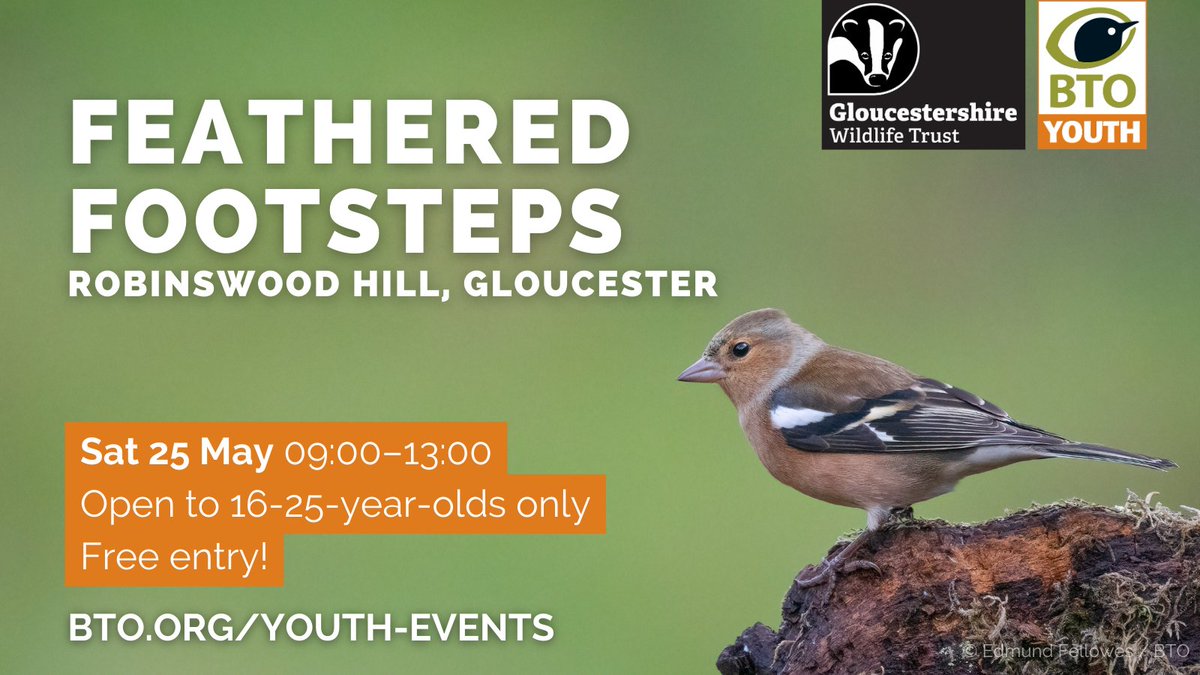 Calling all young nature enthusiasts in Gloucestershire. 😃Join #BTOYouth Rep Jose for a FREE bird walk and quiz @gloswildlife Robinswood Hill Country Park.🐦🌿Book a place ➡️ bit.ly/4bCUE5X