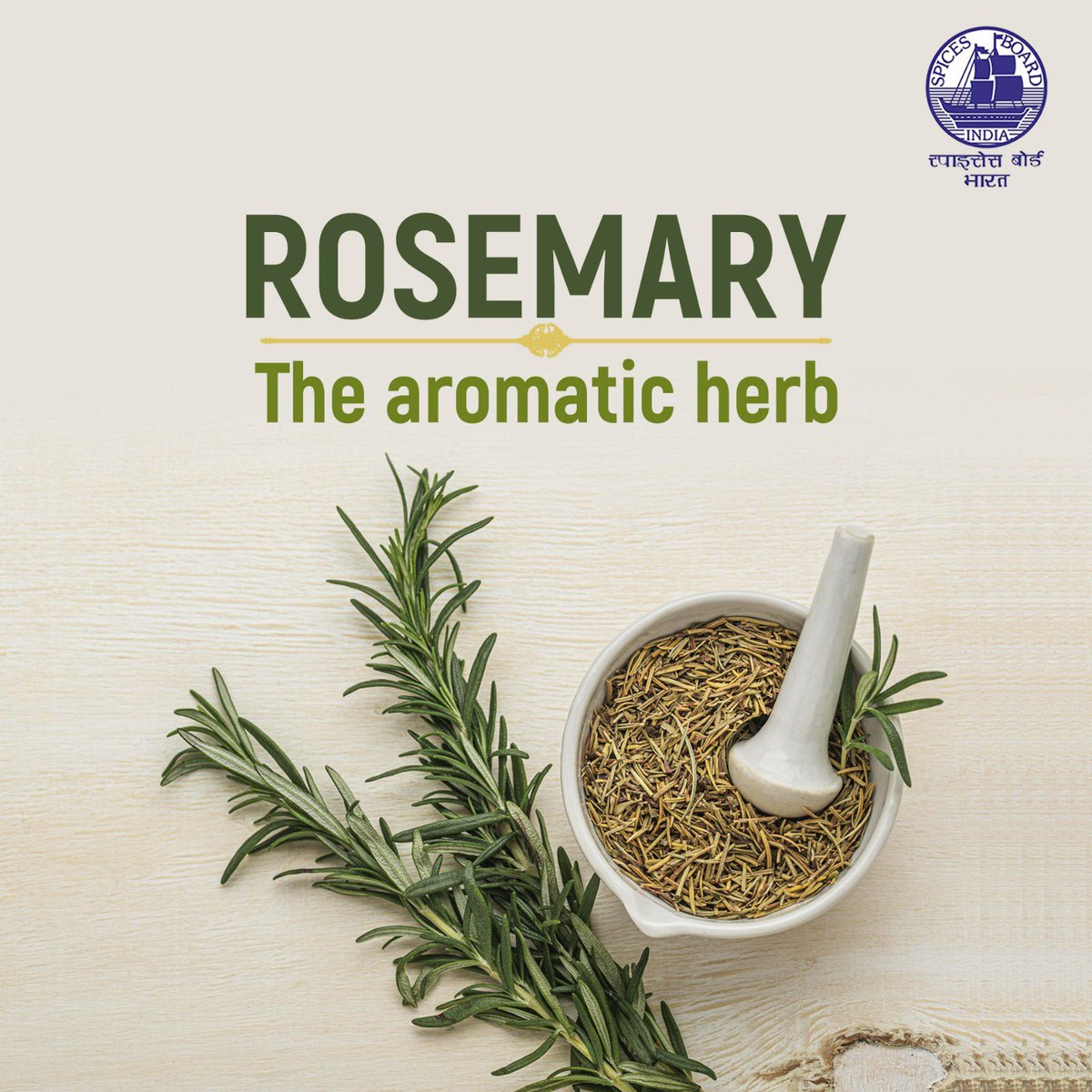 From kitchen staple to garden star, rosemary is a versatile herb known for its fragrance and needle-like leaves @doc_goi #spicesboard #rosemary #incrediblespicesofindia