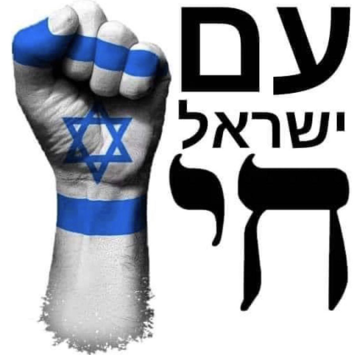 Victory for Israel! #JewPower
#JewishPride #JewishPower

-We will not tolerate Radical islamic terror