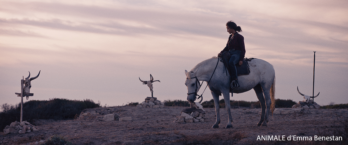 À nouveau, l'#Occitanie montera les marches du #festival #Cannes2024 🤩
4⃣ films tournés ou réalisés dans la région seront projetés sur le ➕ prestigieux écran au 🌍
Une belle mise en lumière pour les paysages et savoir-faire #audiovisuel d'Occitanie.

👉occitanie-films.fr/loccitanie-au-…