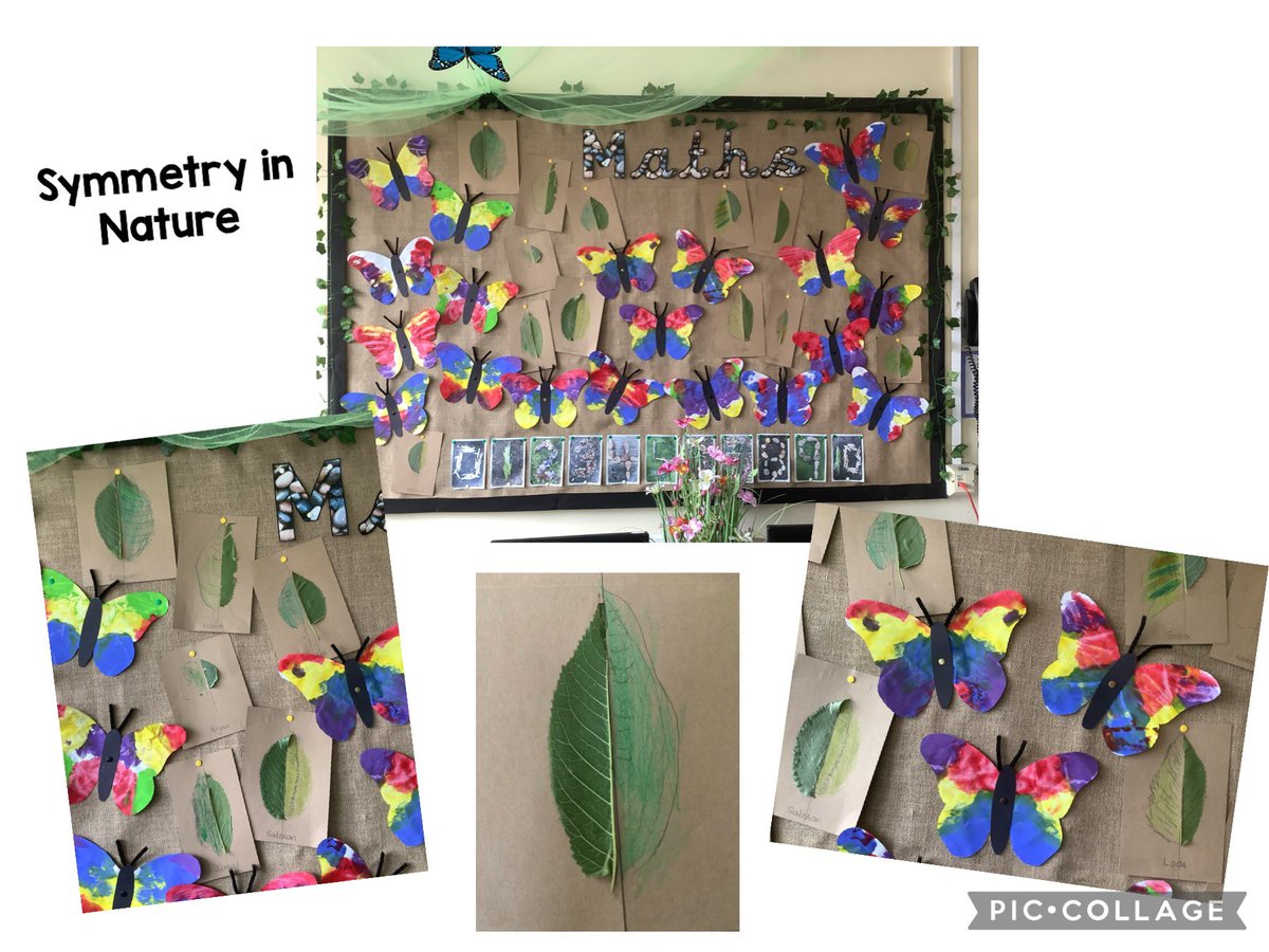 Today reception carried on exploring symmetry in nature.