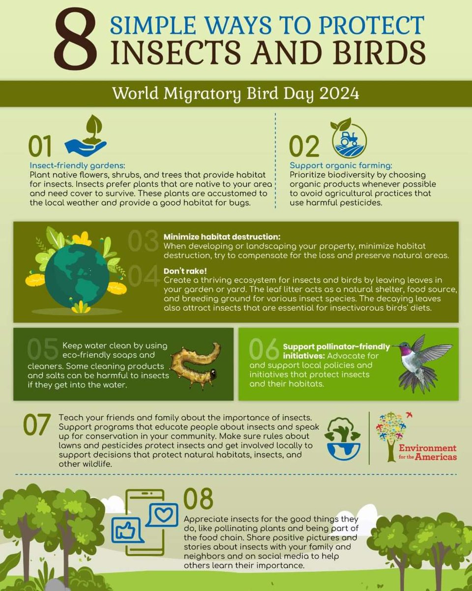 Look at this infographic for effective strategies to protect insects, birds that rely on them, & the ecosystems they inhabit! For activities to educate your students about the importance of birds, check out the #FlyingWILD Birds Across the Curriculum at projectwild.org