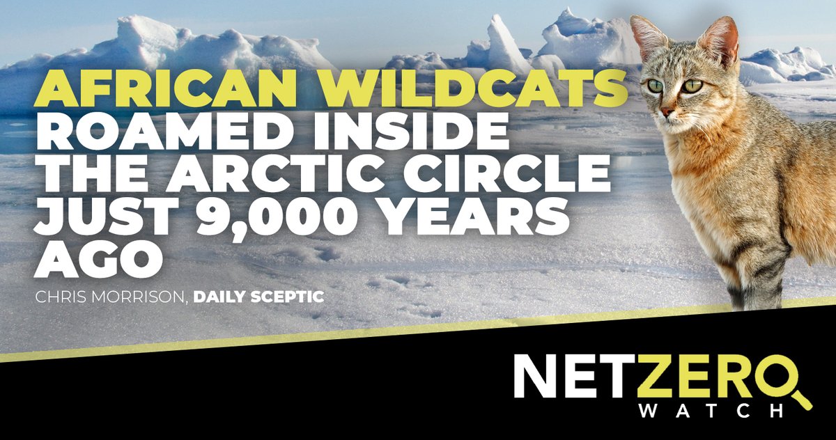 Astonishing finds by a group of Scandinavian scientists show African Wildcats Roamed Inside the Arctic Circle Just 9,000 Years Ago at Temperatures That Were 5°C Warmer Than Today. #CostOfNetZero 👉 dailysceptic.org/2024/05/14/afr…